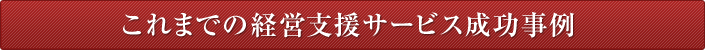 これまでの経営支援サービス成功事例